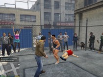 Fight Championship 格斗锦标赛 v0.3