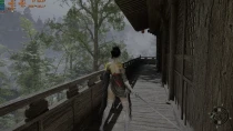 FSR4性能优化 - Wuchang Fallen Feathers Fps Fix