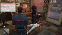 Rescue Mod V (FD + EMS + 海岸警卫) v0.3b