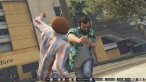 Ingame Screenshot 实时截图脚本 v1.1