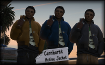 Carhartt 活动连帽衫 MOD v1.0 [Add-On]