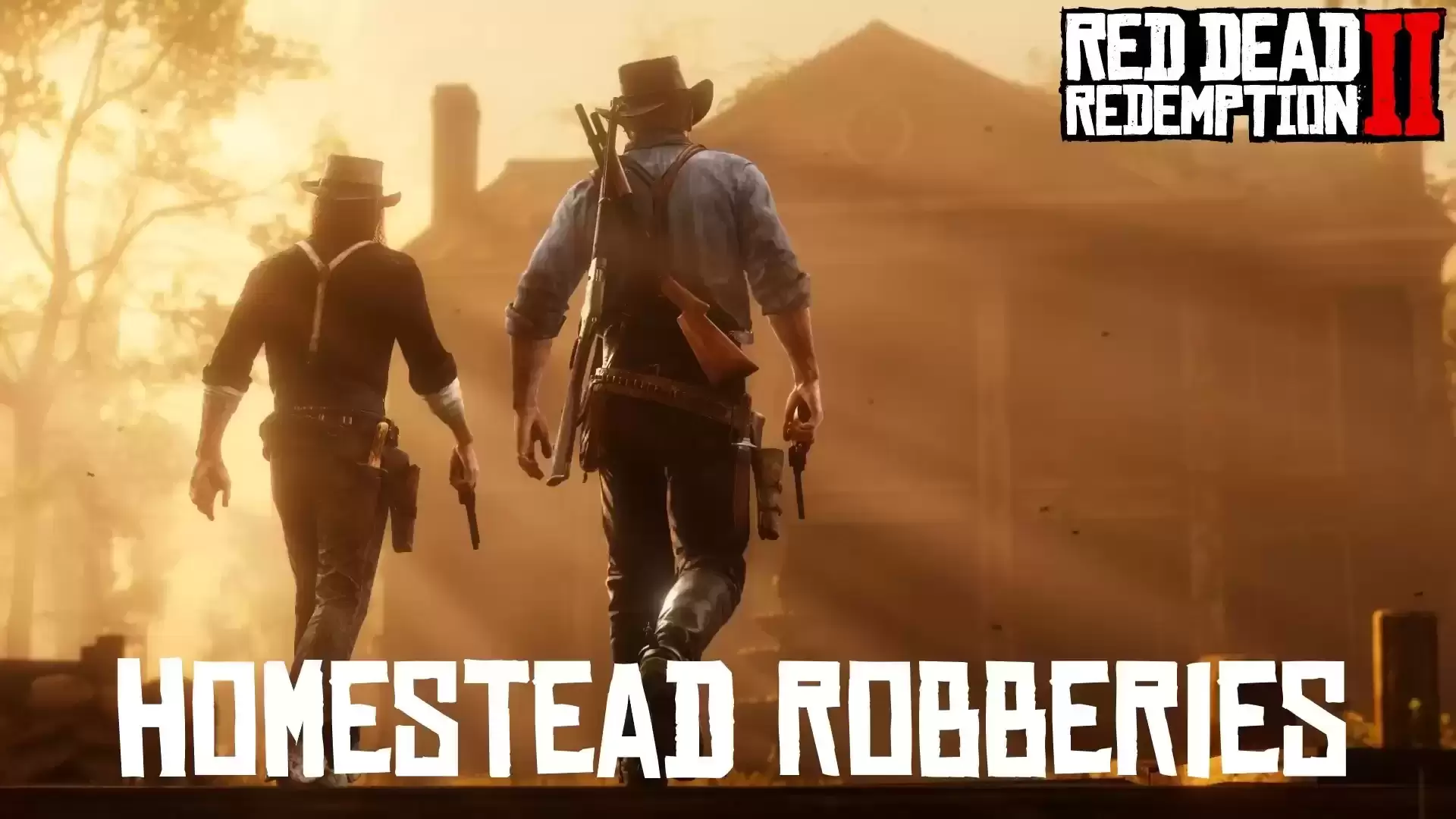 Homestead Robberies家庭抢劫