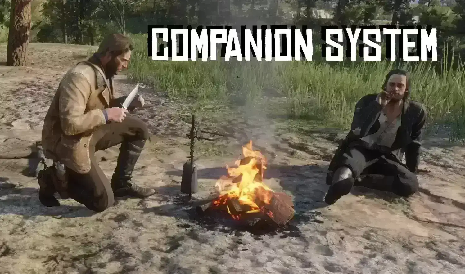 Companion System  营地伙伴系统