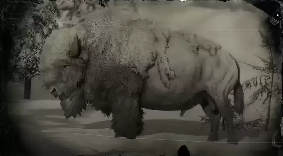 Perfect Pelts  完美的毛皮