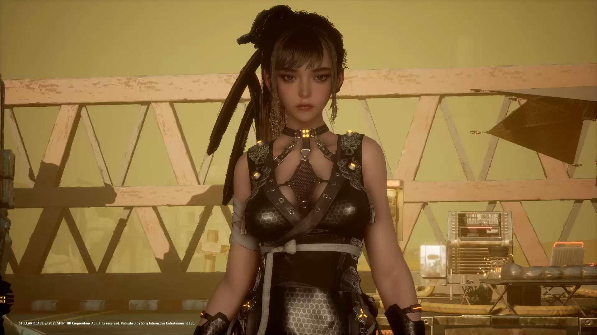 2808.webp 无缝融合!伊芙转渡鸦面部MOD