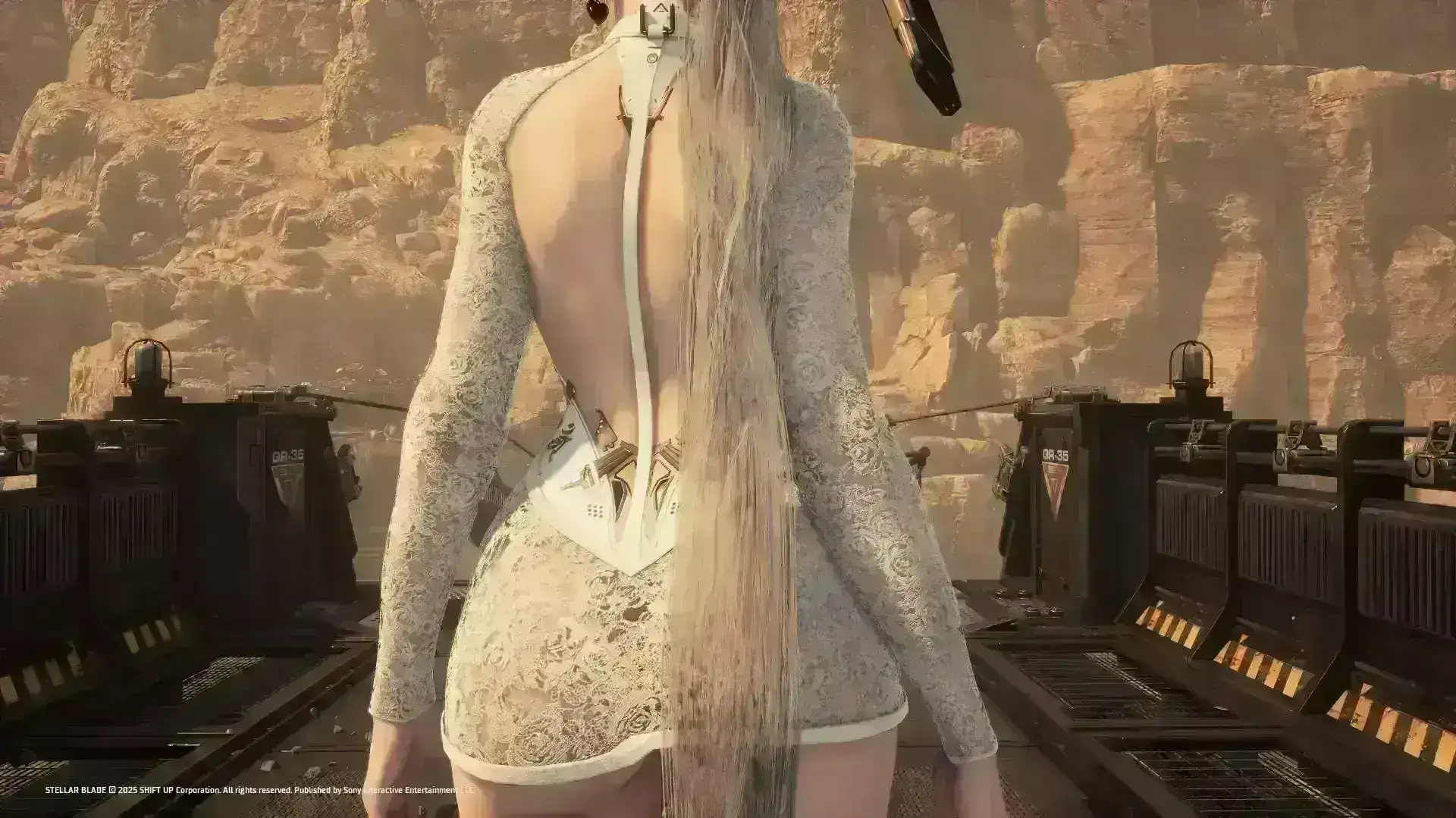 3781.webp 半透明白珍珠服装