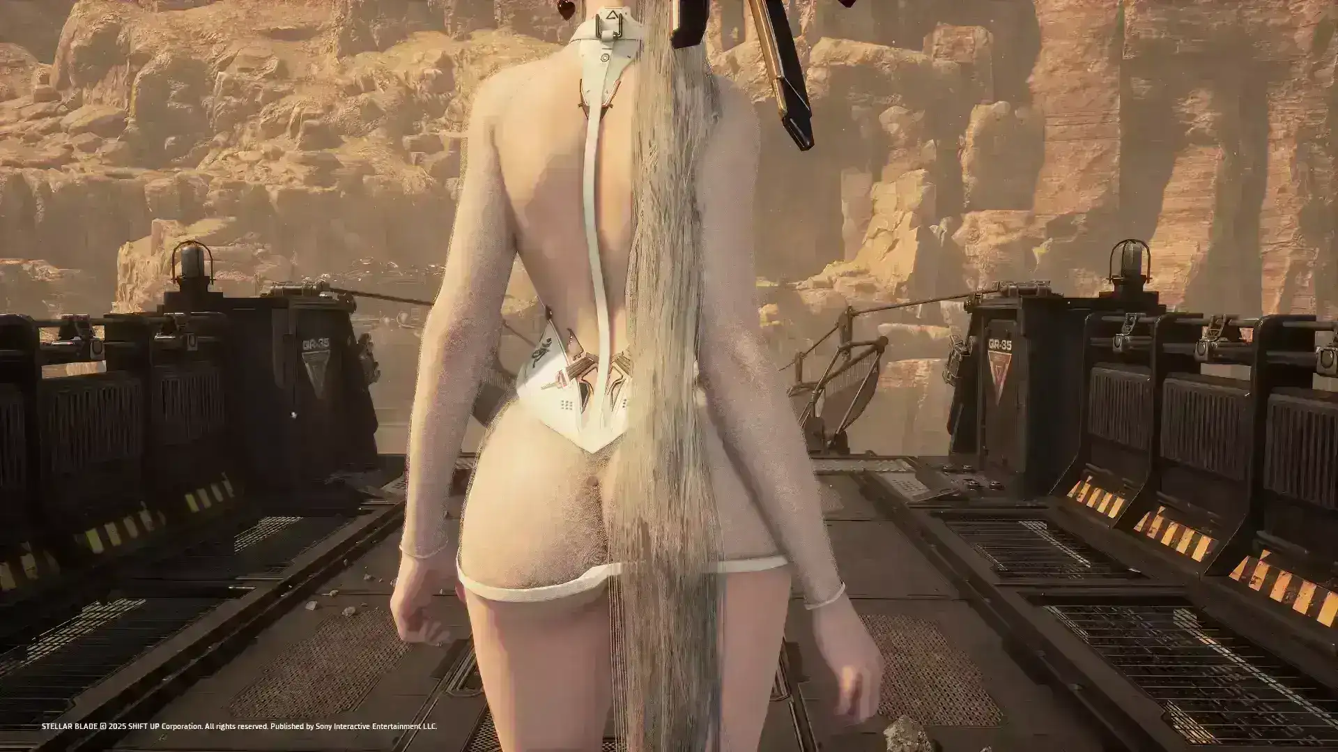 3785.webp 半透明白珍珠服装