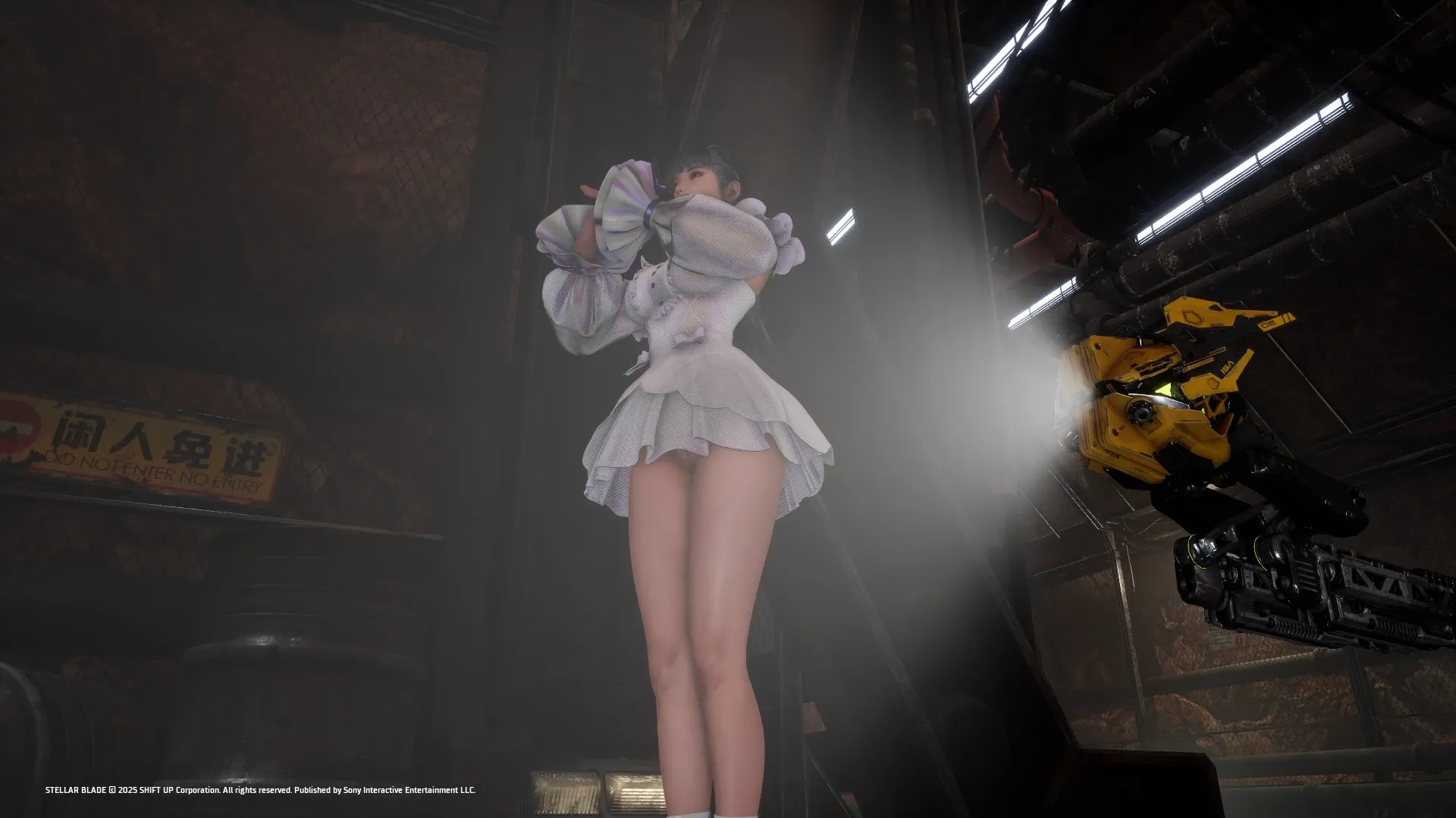 4210.webp 透明优雅礼服 CNS兼容