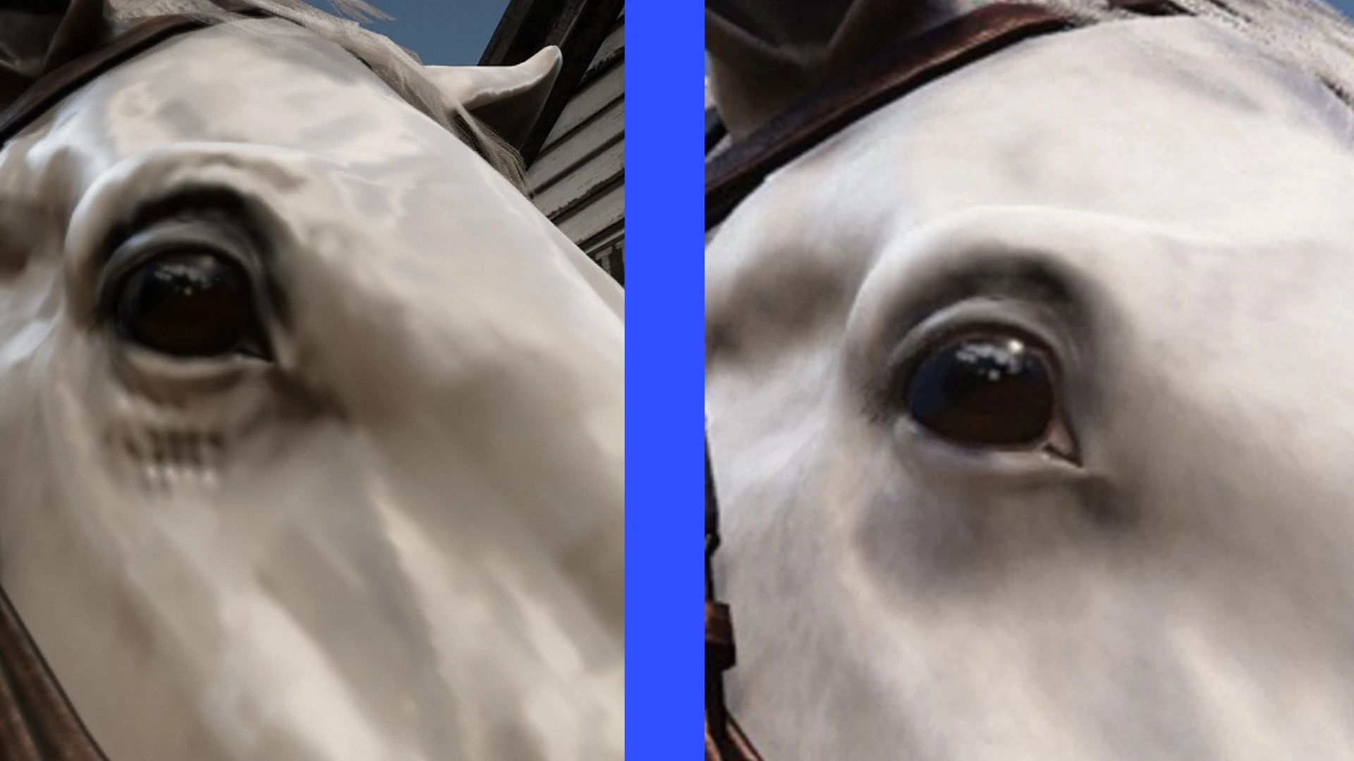 4797.webp Horse Eye Wrinkle Removal 移除马匹眼部皱纹纹理