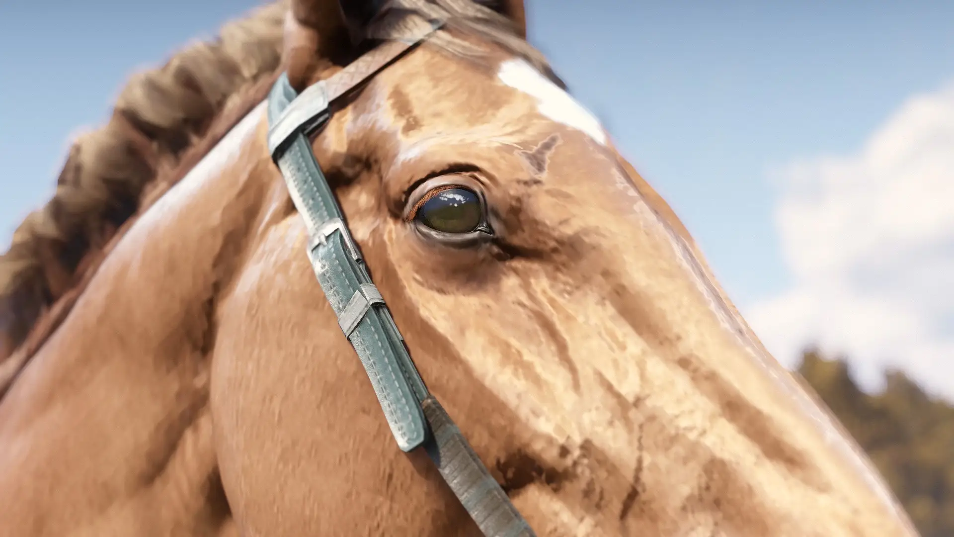 4798.webp Horse Eye Wrinkle Removal 移除马匹眼部皱纹纹理