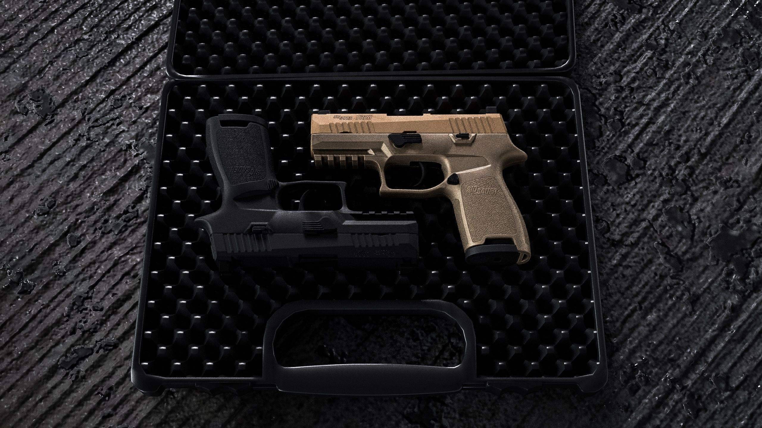 GTA5 独家推荐:SIG Sauer P320 RXP Compact(紧凑型战斗手枪)